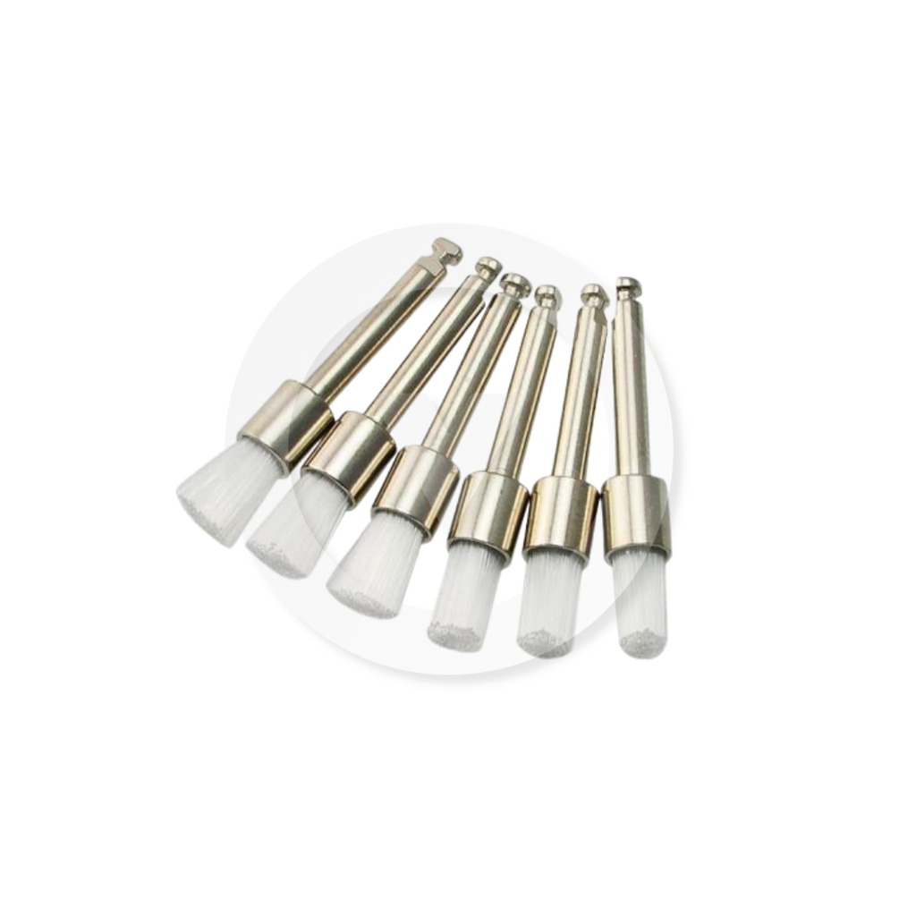 Prophy Brushes