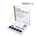 Prevest Denpro Florence Whitening Kit (2/BX)