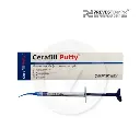 Prevest Denpro Cerafill Putty 2g